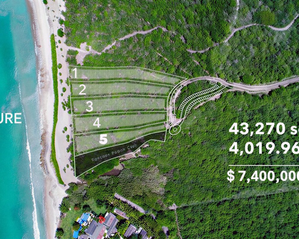 Bahia Signature 5-12